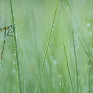 macroworld_daan_de_vos_02